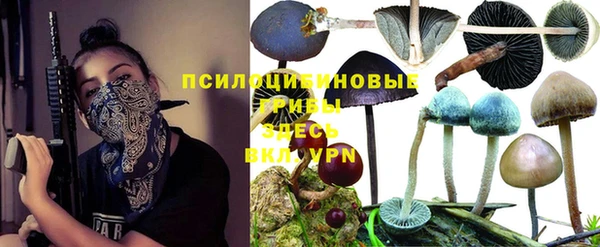 МДМА Ладушкин