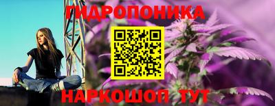 марки nbome Гусь-Хрустальный
