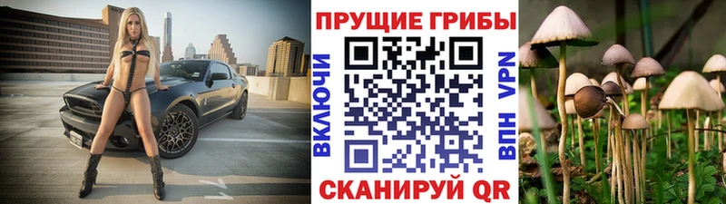 Псилоцибиновые грибы Cubensis  Сорочинск 