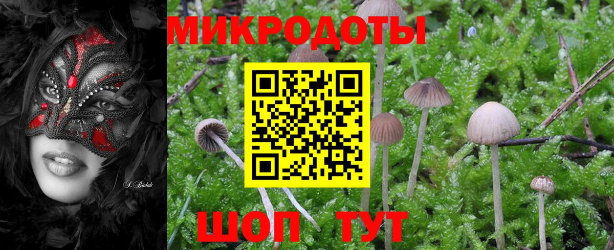 Псилоцибиновые грибы MAGIC MUSHROOMS  Галлюциногенные грибы Magic Shrooms  Сорочинск  Вход с VPN 