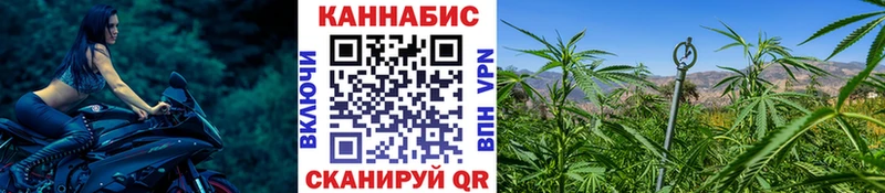 что такое   Сорочинск  Бошки марихуана AK-47 